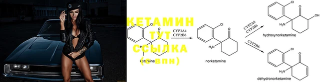 шишки Михайловка