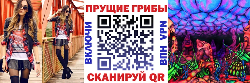 Псилоцибиновые грибы мухоморы  мориарти как зайти  Ачхой-Мартан  OMG как зайти 